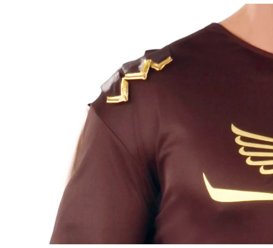 Translation missing: fr.Disfraz de Gladius marrón para hombre