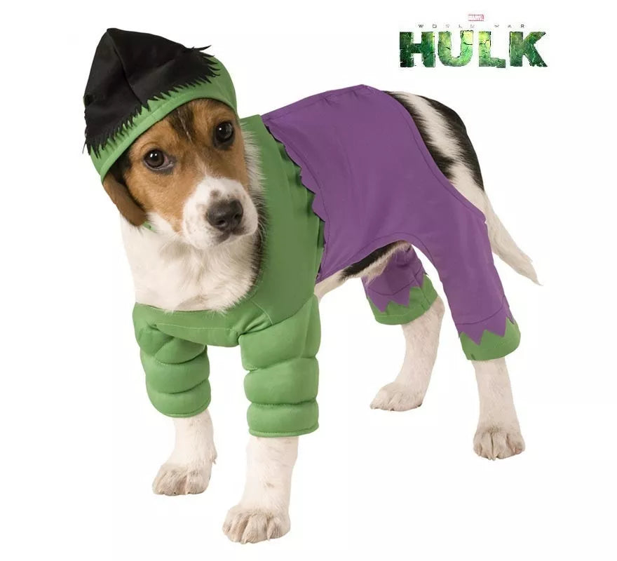 Translation missing: fr.Disfraz de Hulk con gorro para perro