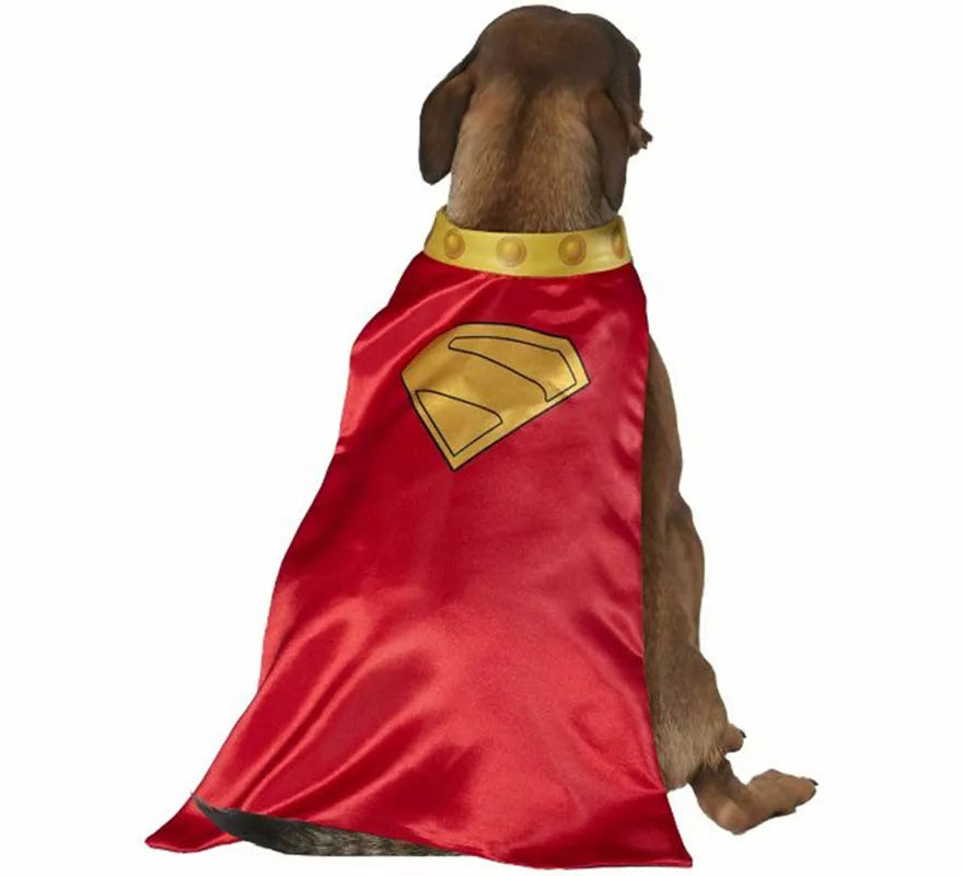 Translation missing: fr.Disfraz de Krypto Superman para perro