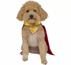 Costume de Krypto Superman pour chiens
