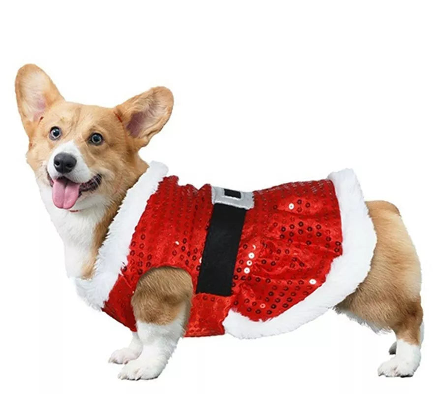 Translation missing: fr.Disfraz de Papá Noel con lentejuelas para perro