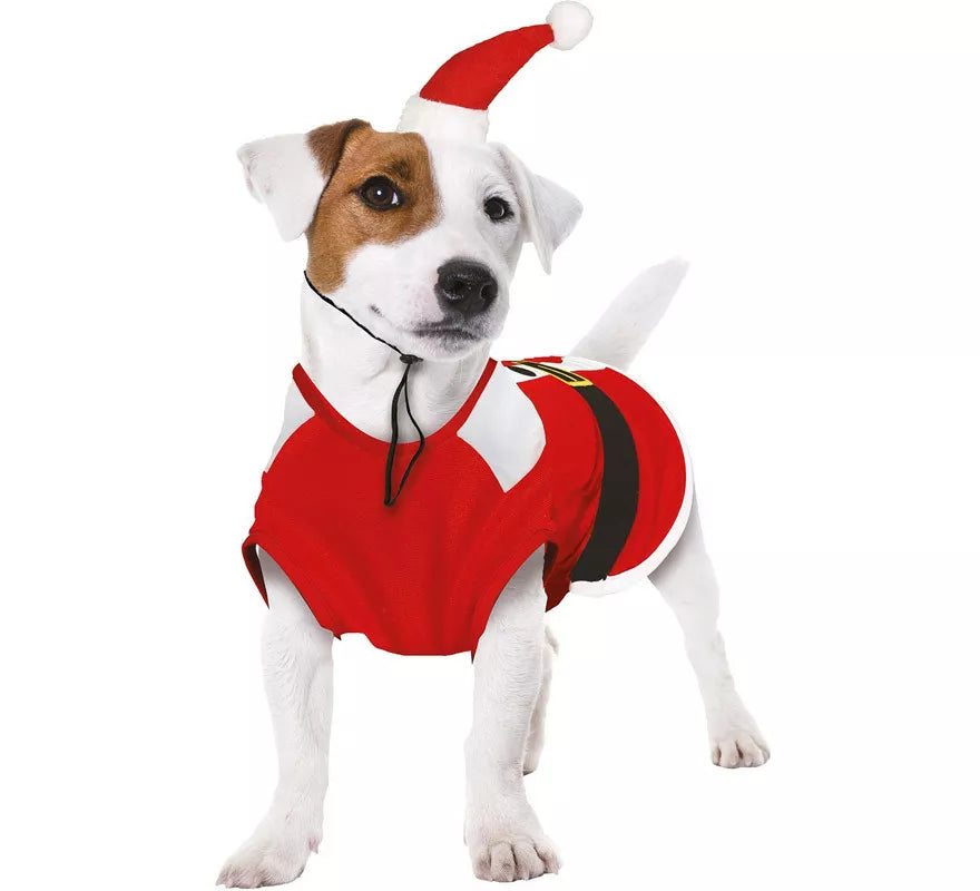 Translation missing: fr.Disfraz de Papá Noel Dog para perro