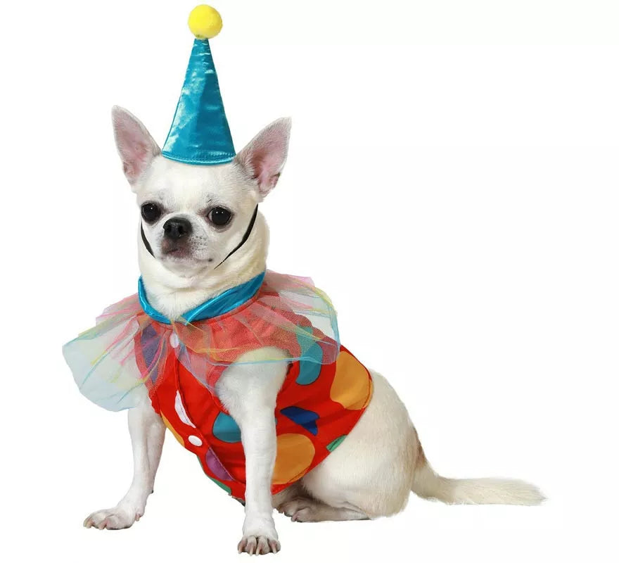 Disfraz de Payaso con Gorrito para perro