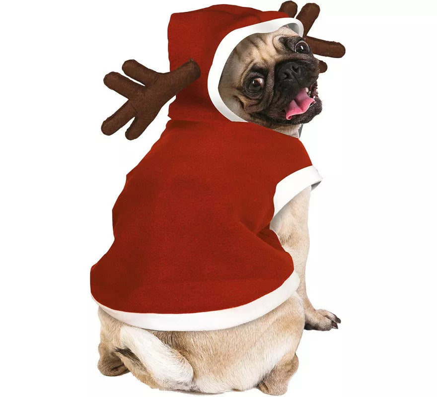 Translation missing: fr.Disfraz de Reno de Papá Noel para perro