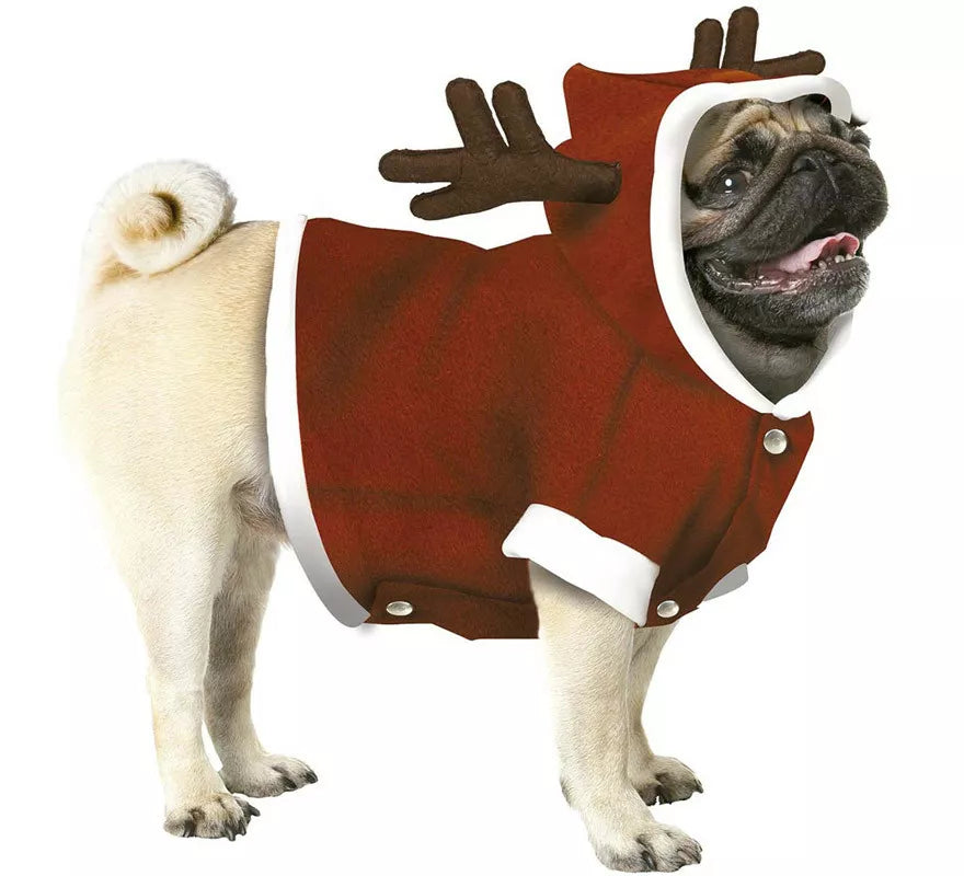 Translation missing: fr.Disfraz de Reno de Papá Noel para perro