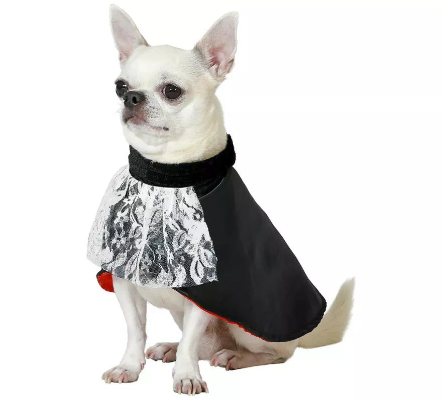 Translation missing: fr.Disfraz de Vampiro Drácula para perro