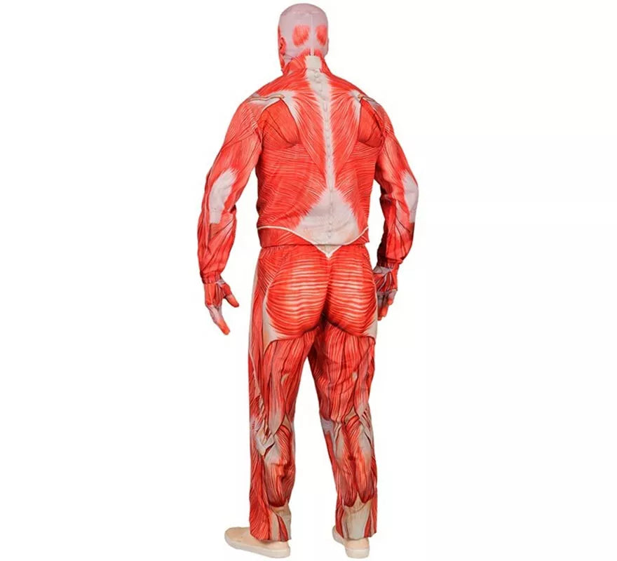 Disfraz Express de Anatómico con Músculos para hombre