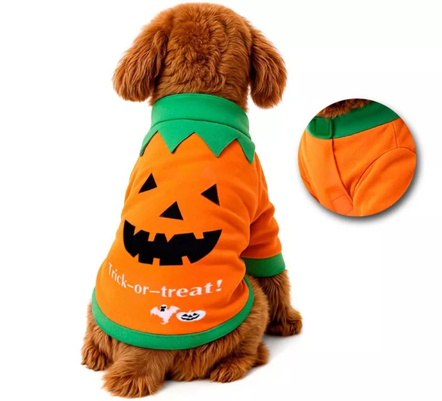 Translation missing: fr.Disfraz Mascota Calabaza