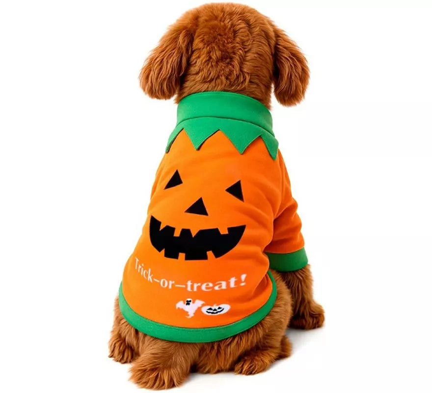 Translation missing: fr.Disfraz Mascota Calabaza