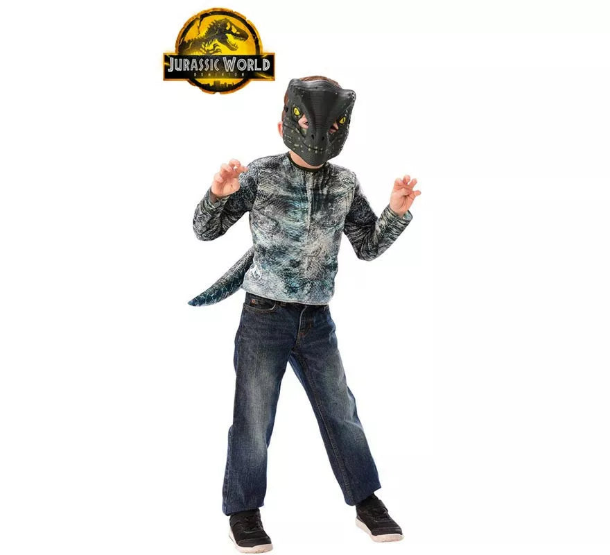 Translation missing: fr.Disfraz o Kit de Velociraptor en Caja para niños