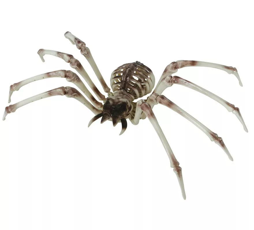 Translation missing: fr.Esqueleto Araña 85x35 cm
