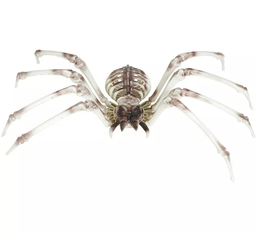 Translation missing: fr.Esqueleto Araña 85x35 cm