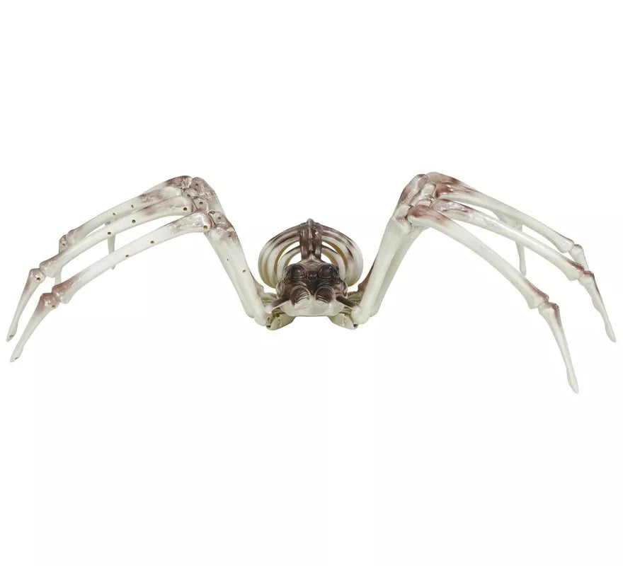 Translation missing: fr.Esqueleto Araña 85x35 cm