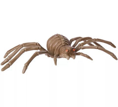 Squelette Araignée Lumineuse, avec Son et Mouvement 96x48x16 cm