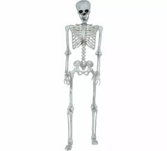 Squelette articulé de 145 cm