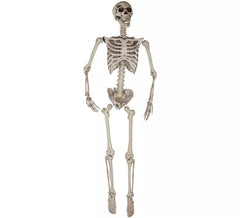 Squelette Suspendu 165 cm