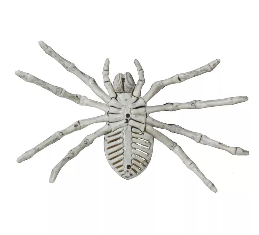 Translation missing: fr.Esqueleto de Araña 24 Cm
