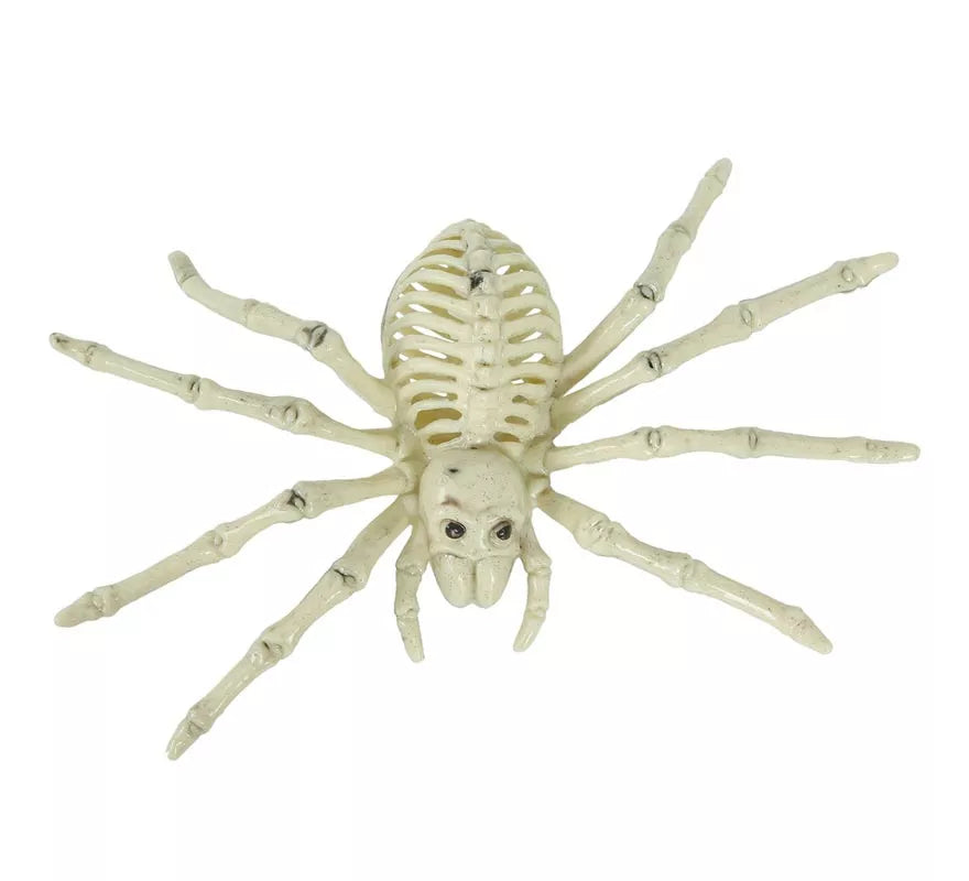 Translation missing: fr.Esqueleto de Araña 24 Cm