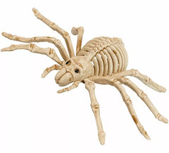 Squelette d'araignée effrayant de 24 cm