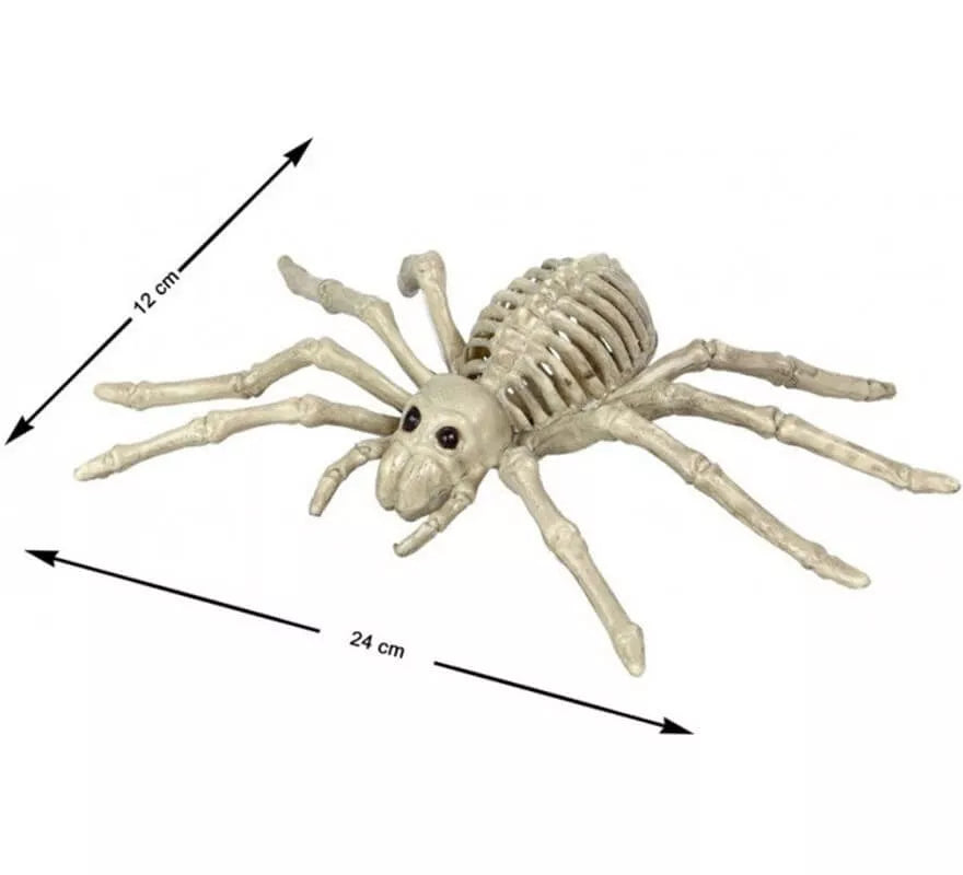 Translation missing: fr.Esqueleto de Araña Tarántula de 24x12 cm