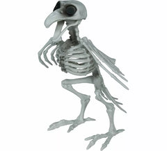 Squelette de Corbeau 20 cm
