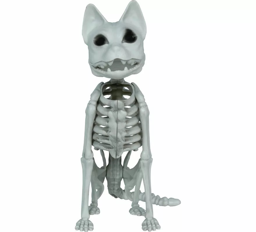 Translation missing: fr.Esqueleto de Gato de 37 cm