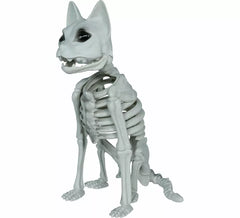 Squelette de chat 37 cm