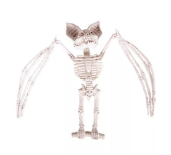 Squelette de chauve-souris 27x11x7 cm