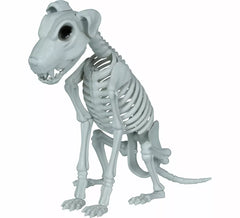 Squelette de chien 38 cm