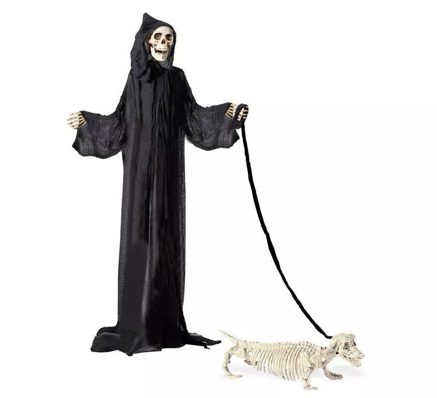 Translation missing: fr.Esqueleto de Perro Salchicha con Correa de 55 cm