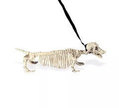 Teckel Squelette en Laisse 55cm