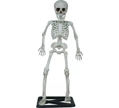 Squelette debout de 55 cm