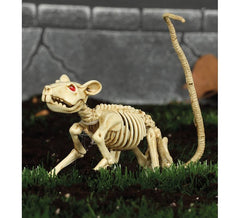 Squelette de Rat de 20 cm