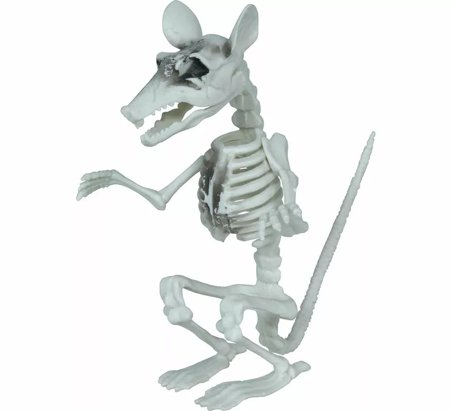 Esqueleto de Rata de 17 cm