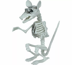 Squelette de rat de 17 cm