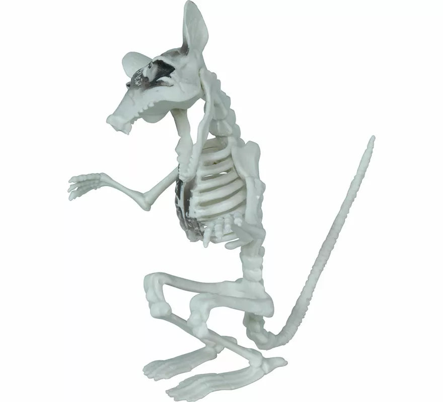 Esqueleto de Rata de 17 cm