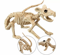 Squelette de rat de 40 cm