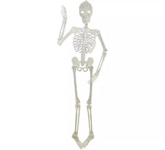 Squelette Fluorescent 152 cm