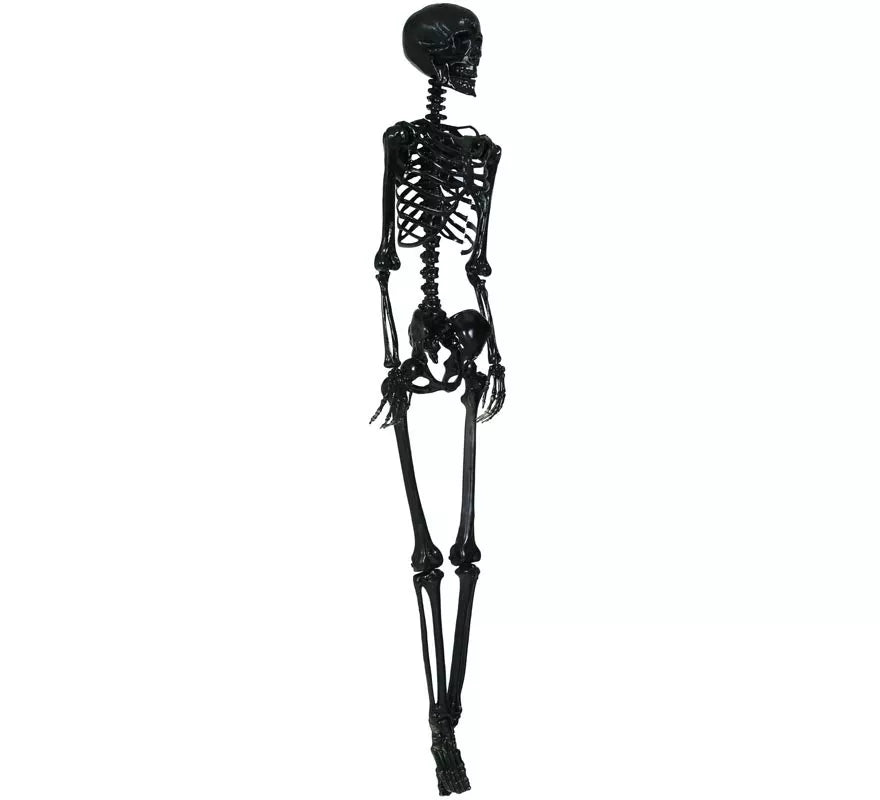 Esqueleto negro 160 cm
