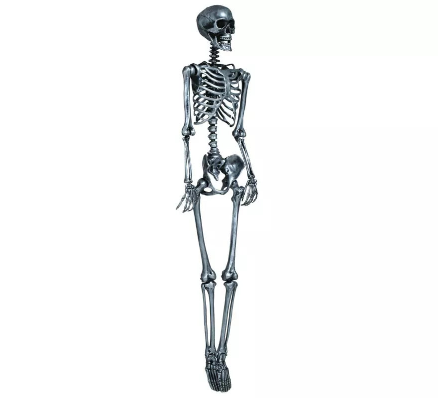 Esqueleto plata 90 cm