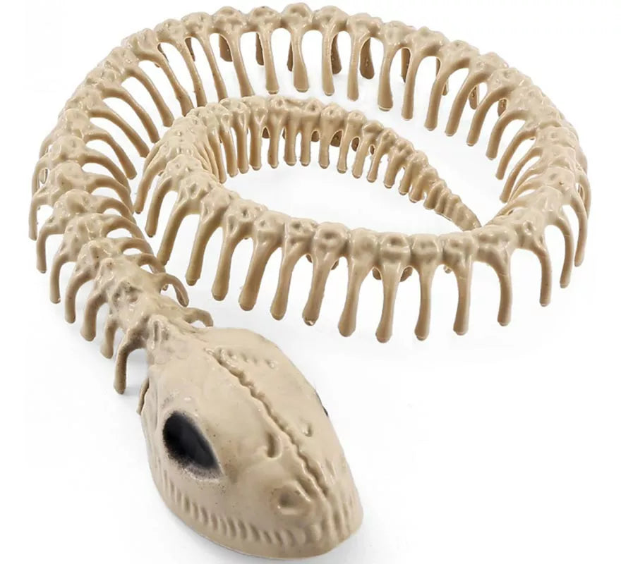 Translation missing: fr.Esqueleto Serpiente de 16x3.5 cm