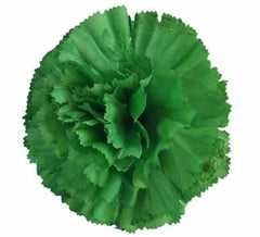 Fleur oeillet avec pince pour flamencas et chulapas de différentes couleurs