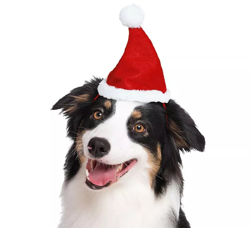 Translation missing: fr.Gorro Navidad para perro