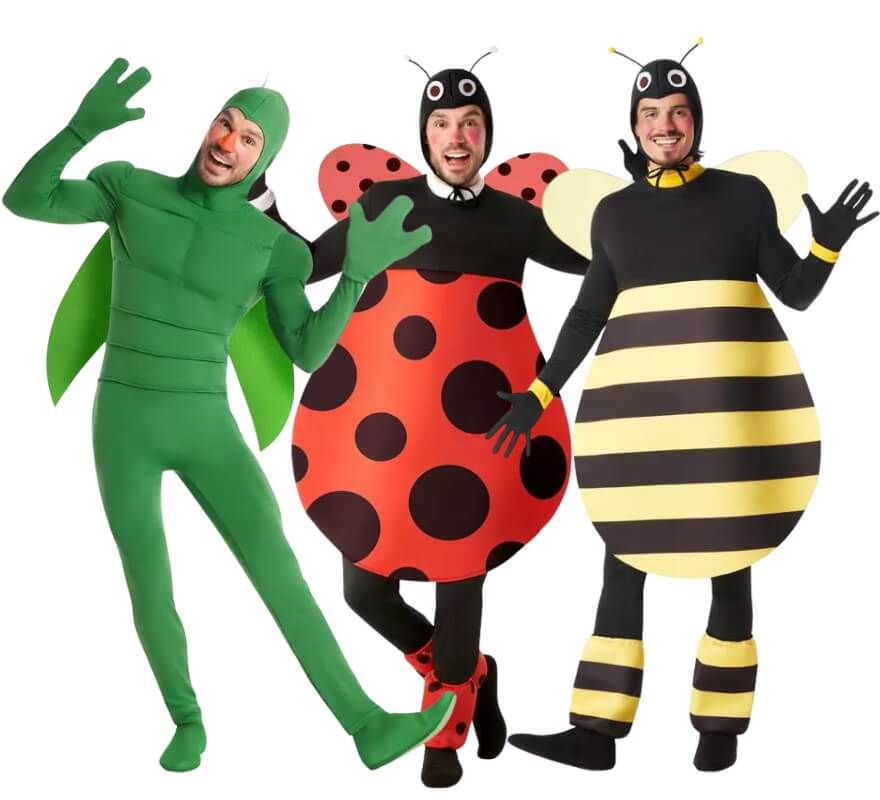 Groupe d’insectes du jardin