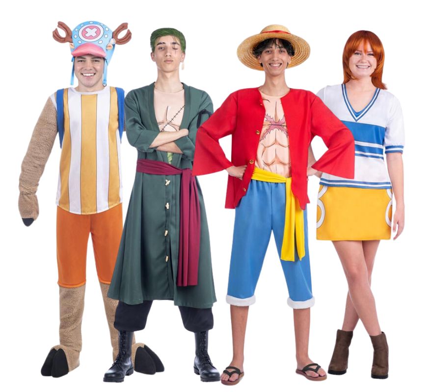 Groupe de nakamas One Piece