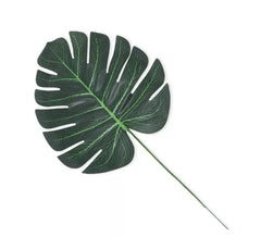 Décoration de feuilles tropicales vertes