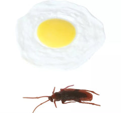 Œuf au plat en latex