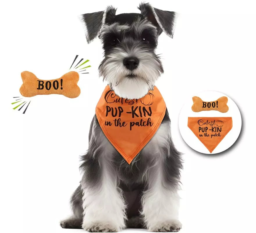 Translation missing: fr.Kit de Calabaza para perro: Pañuelo y hueso