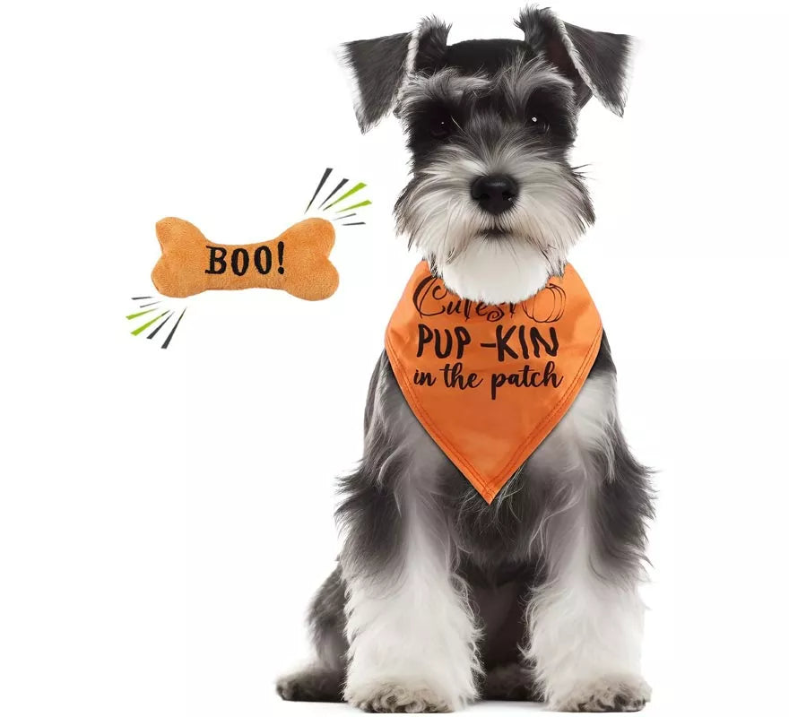 Translation missing: fr.Kit de Calabaza para perro: Pañuelo y hueso