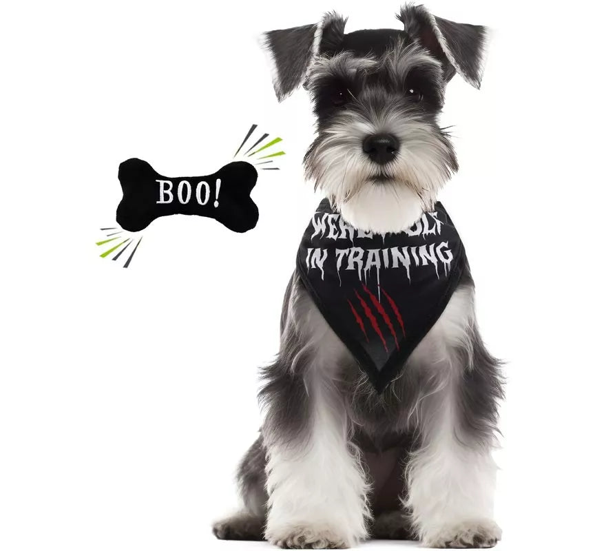Kit de Hombre Lobo para perro: Pañuelo y hueso